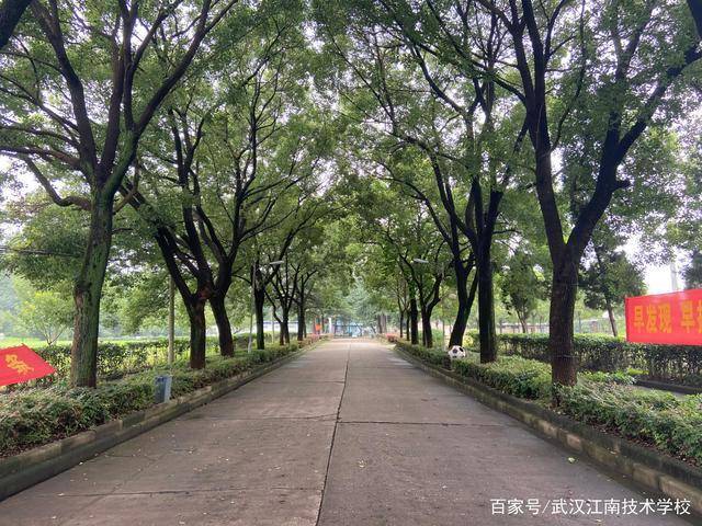  武汉江南技术学校——校园风景